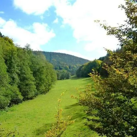 Apartment Apartment In The Odenwald With Terrace