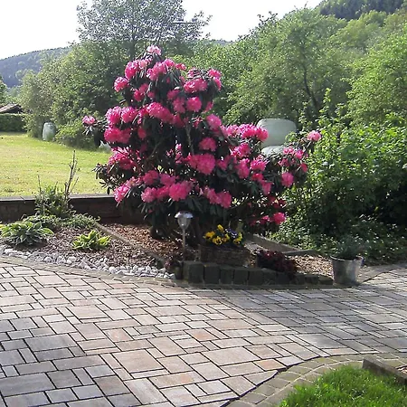 Apartment In The Odenwald With Terrace