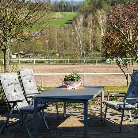 Apartment Apartment In The Odenwald With Terrace *