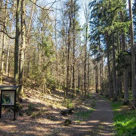 Apartament Apartment, Huettenthal-mossautal Mossautal